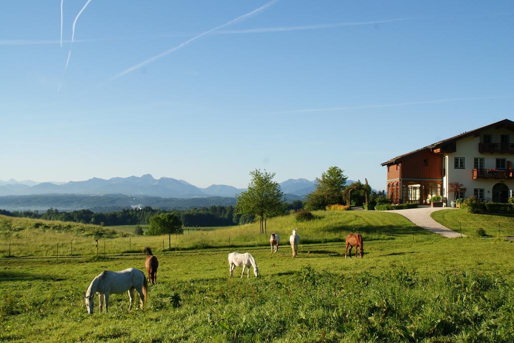 Aschbacher Hof Feldkirchen-Westerham Esterno foto